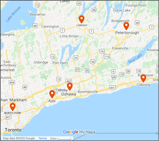 Auto Glass Shops Near Me in Whitby